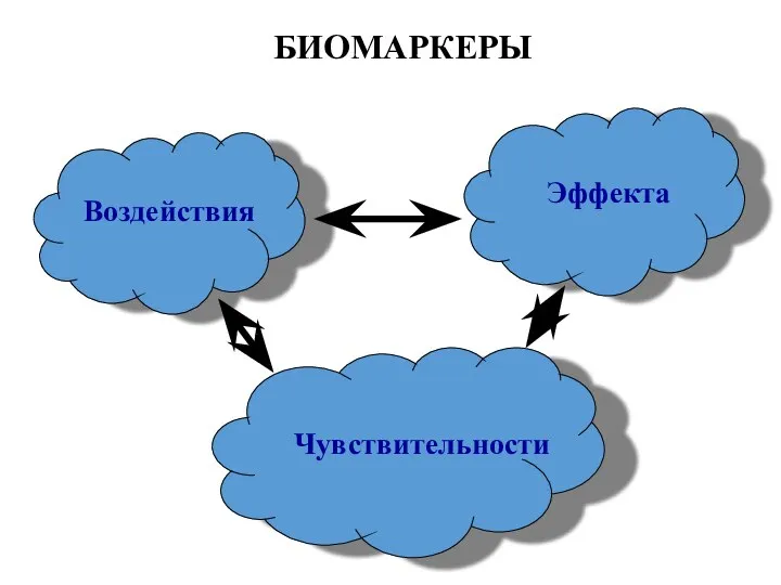 БИОМАРКЕРЫ Чувствительности Воздействия