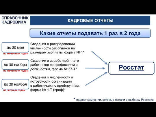 КАДРОВЫЕ ОТЧЕТЫ Какие отчеты подавать 1 раз в 2 года Сведения