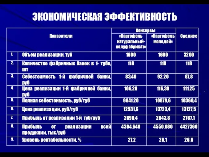 ЭКОНОМИЧЕСКАЯ ЭФФЕКТИВНОСТЬ