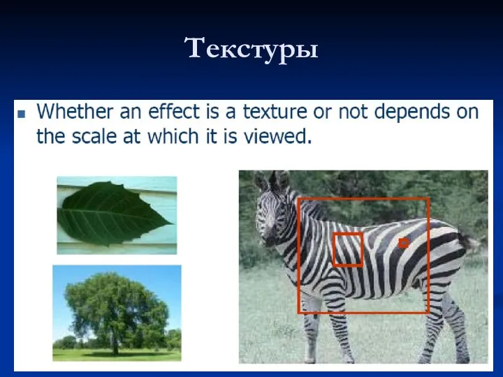 Текстуры