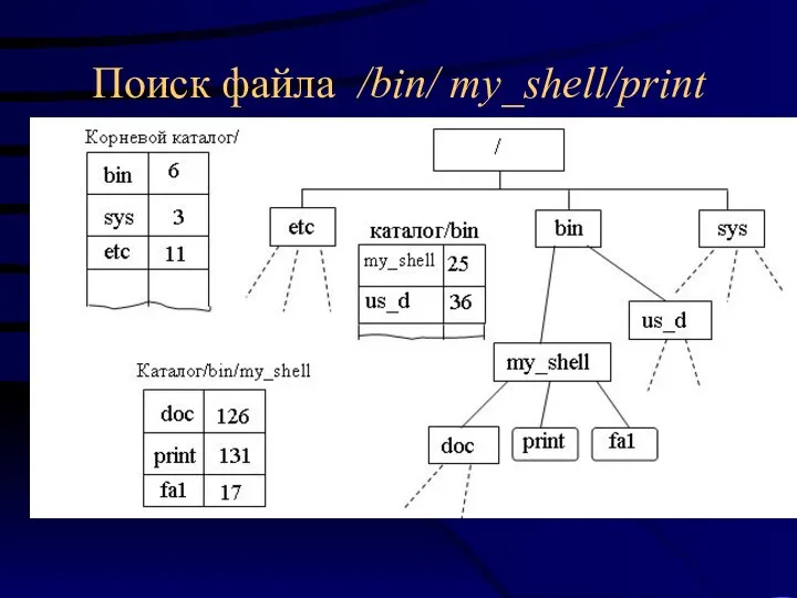 Поиск файла /bin/ my_shell/print