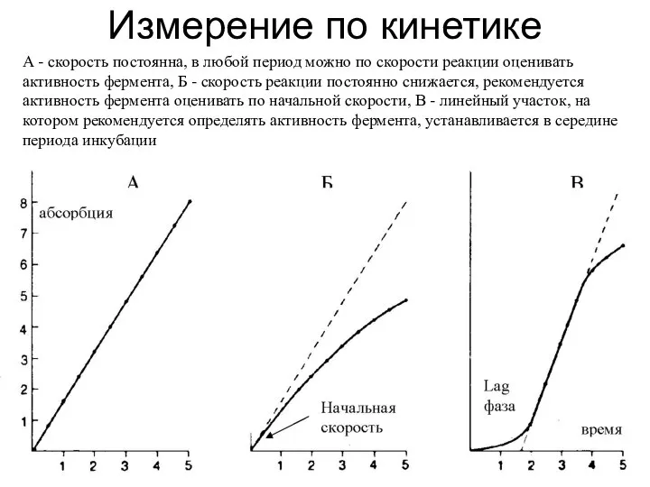 Измерение по кинетике А - скорость постоянна, в любой период можно