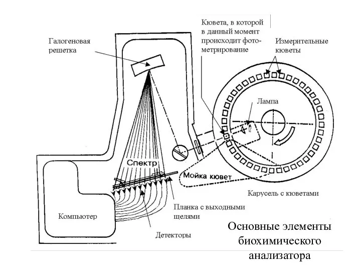 Основные элементы биохимического анализатора