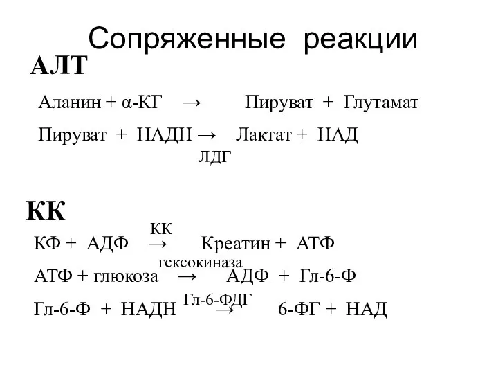 Сопряженные реакции Аланин + α-КГ → Пируват + Глутамат Пируват +