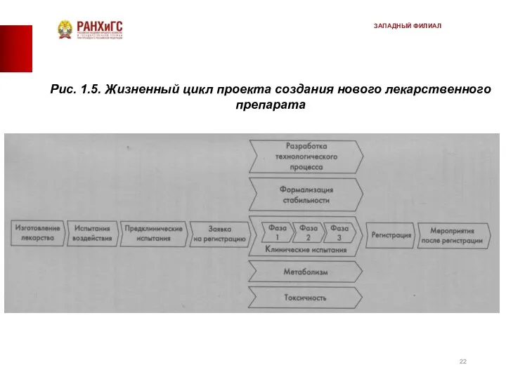 Рис. 1.5. Жизненный цикл проекта создания нового лекарственного препарата ЗАПАДНЫЙ ФИЛИАЛ