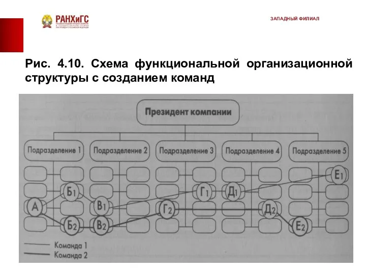 Рис. 4.10. Схема функциональной организационной структуры с созданием команд ЗАПАДНЫЙ ФИЛИАЛ