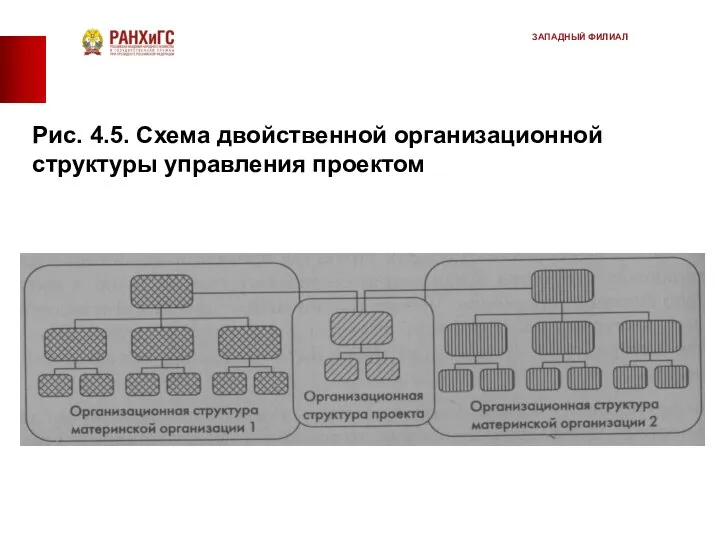 Рис. 4.5. Схема двойственной организационной структуры управления проектом ЗАПАДНЫЙ ФИЛИАЛ