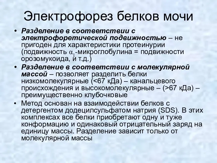 Электрофорез белков мочи Разделение в соответствии с электрофоретической подвижностью – не