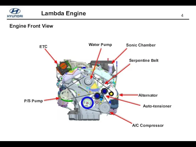 Engine Front View ETC Alternator Serpentine Belt Water Pump Auto-tensioner A/C Compressor P/S Pump Sonic Chamber