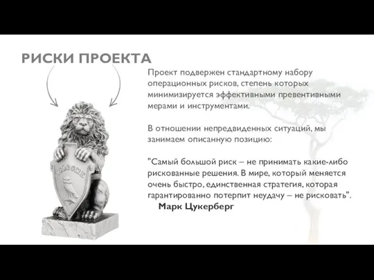 РИСКИ ПРОЕКТА Проект подвержен стандартному набору операционных рисков, степень которых минимизируется