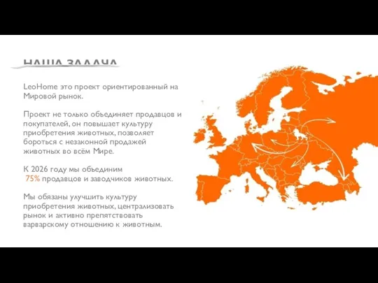 НАША ЗАДАЧА LeoHome это проект ориентированный на Мировой рынок. Проект не