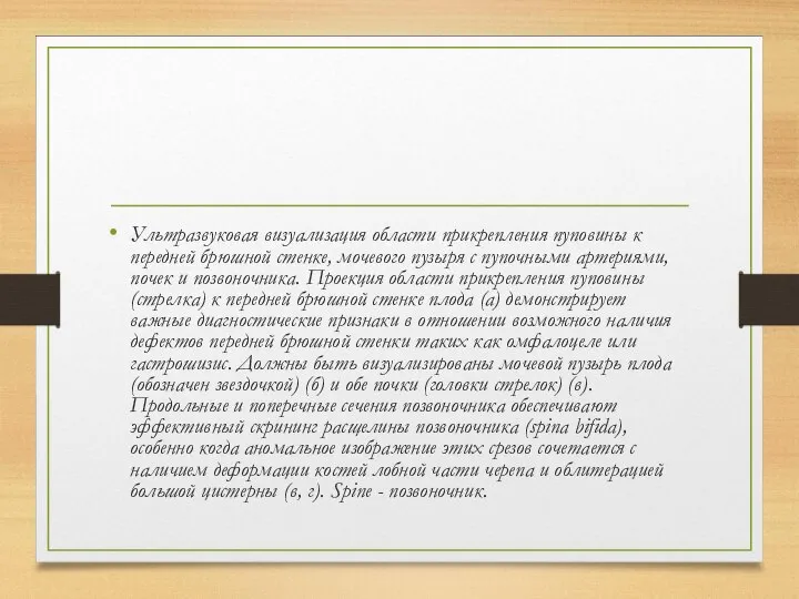 Ультразвуковая визуализация области прикрепления пуповины к передней брюшной стенке, мочевого пузыря