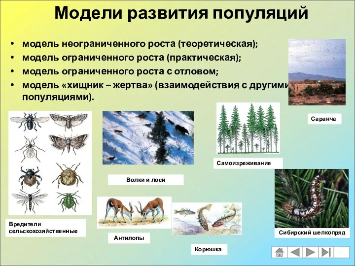 модель неограниченного роста (теоретическая); модель ограниченного роста (практическая); модель ограниченного роста