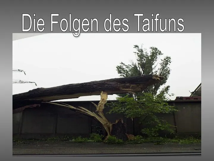 Die Folgen des Taifuns