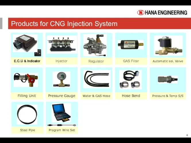 Products for CNG Injection System