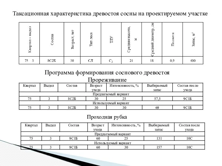 Таксационная характеристика древостоя сосны на проектируемом участке Программа формирования соснового древостоя Прореживание Проходная рубка