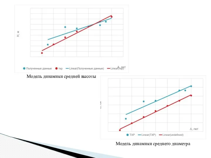 Модель динамики средней высоты Модель динамики среднего диаметра