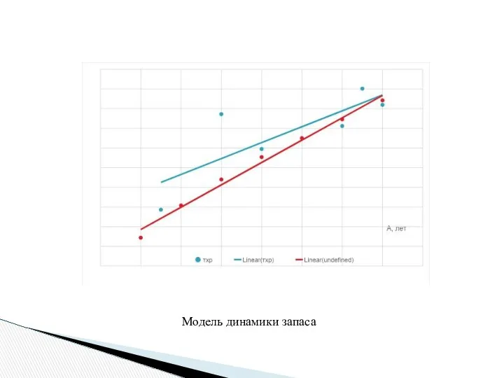 Модель динамики запаса