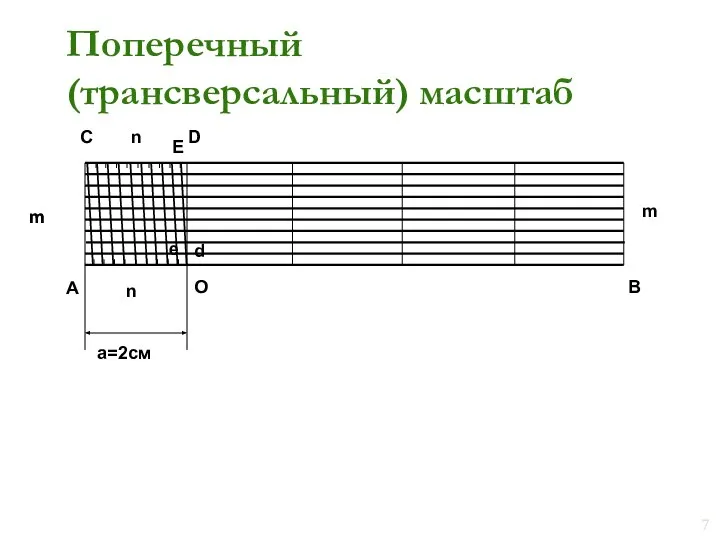 Поперечный (трансверсальный) масштаб А В m m m О C D