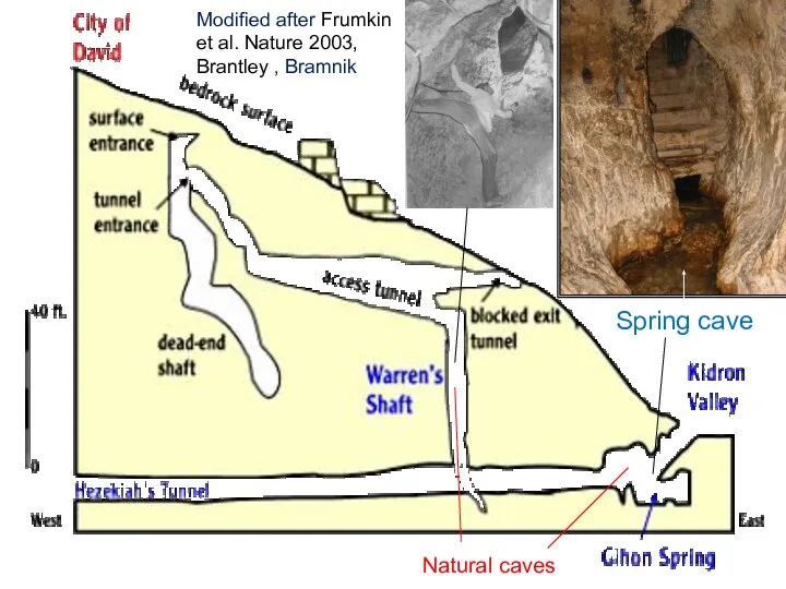 Modified after Frumkin et al. Nature 2003, Brantley , Bramnik Spring cave Natural caves