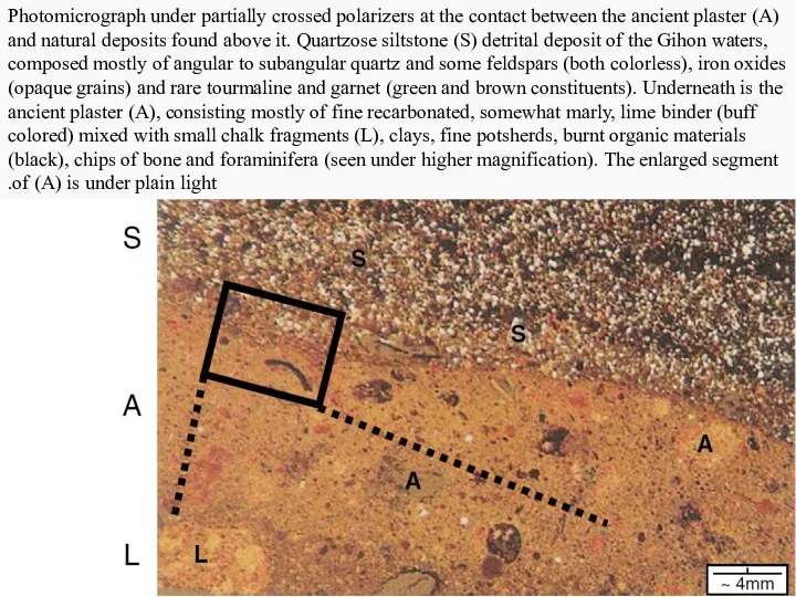 Photomicrograph under partially crossed polarizers at the contact between the ancient