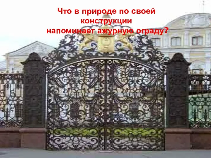 Что в природе по своей конструкции напоминает ажурную ограду?