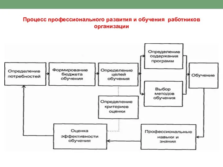 Процесс профессионального развития и обучения работников организации