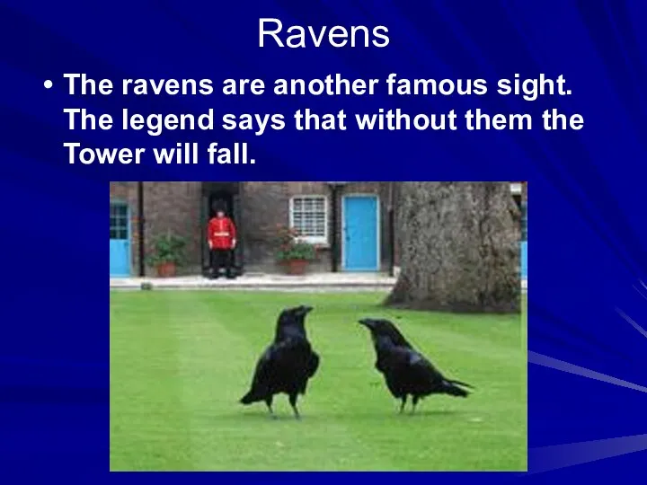 Ravens The ravens are another famous sight. The legend says that