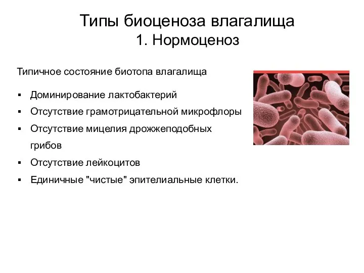 Типичное состояние биотопа влагалища Доминирование лактобактерий Отсутствие грамотрицательной микрофлоры Отсутствие мицелия