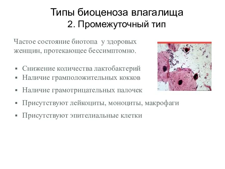 Частое состояние биотопа у здоровых женщин, протекающее бессимптомно. Снижение количества лактобактерий