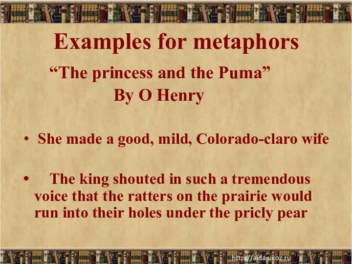 Examples for metaphors “The princess and the Puma” By O Henry