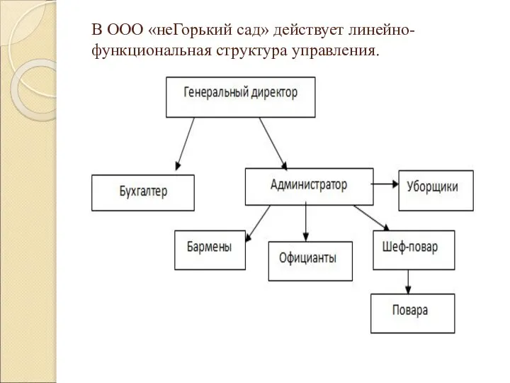 В ООО «неГорький сад» действует линейно-функциональная структура управления.