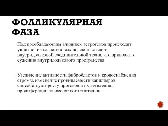 ФОЛЛИКУЛЯРНАЯ ФАЗА Под преобладающим влиянием эстрогенов происходит уплотнение коллагеновых волокон во