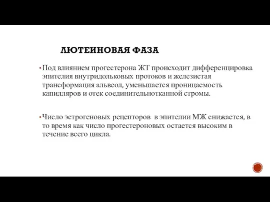 ЛЮТЕИНОВАЯ ФАЗА Под влиянием прогестерона ЖТ происходит дифференцировка эпителия внутридольковых протоков