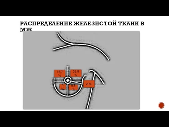 РАСПРЕДЕЛЕНИЕ ЖЕЛЕЗИСТОЙ ТКАНИ В МЖ 38,5% 29% 8,8% 18,7% 5%