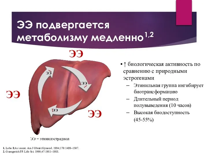 ↑ биологическая активность по сравнению с природными эстрогенами Этинильная группа ингибирует