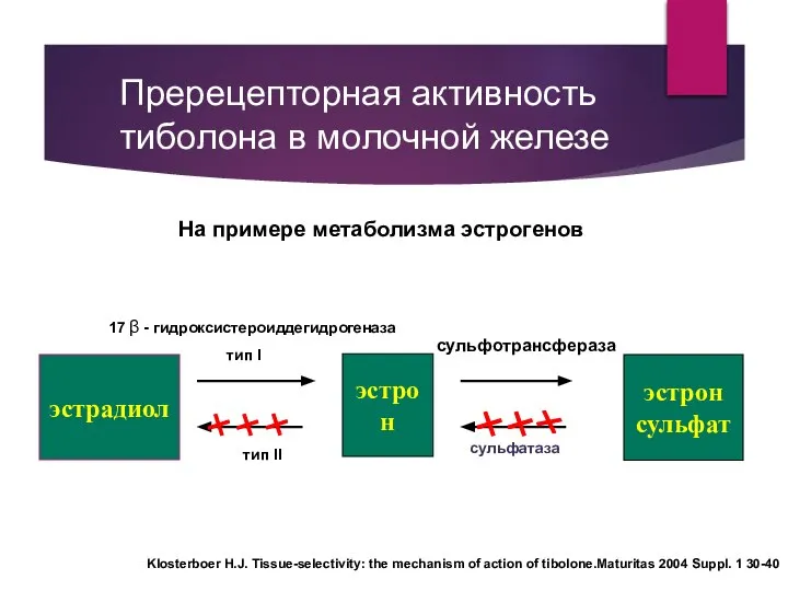 эстрон эстрон сульфат эстрадиол сульфотрансфераза сульфатаза 17 β - гидроксистероиддегидрогеназа тип