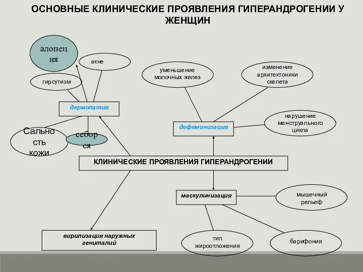 ОСНОВНЫЕ КЛИНИЧЕСКИЕ ПРОЯВЛЕНИЯ ГИПЕРАНДРОГЕНИИ У ЖЕНЩИН себорея алопеция