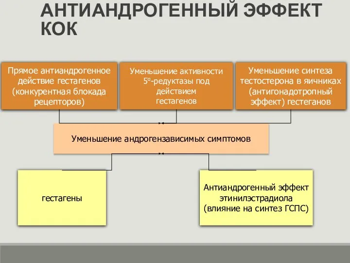 АНТИАНДРОГЕННЫЙ ЭФФЕКТ КОК Прямое антиандрогенное действие гестагенов (конкурентная блокада рецепторов) Уменьшение