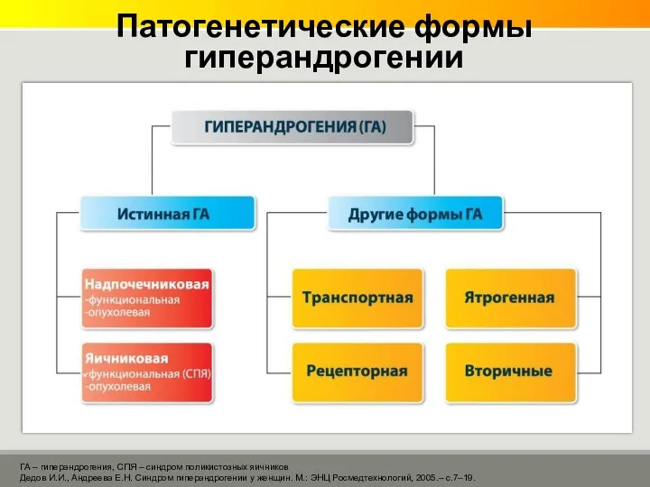 Патогенетические формы гиперандрогении ГА – гиперандрогения, СПЯ – синдром поликистозных яичников