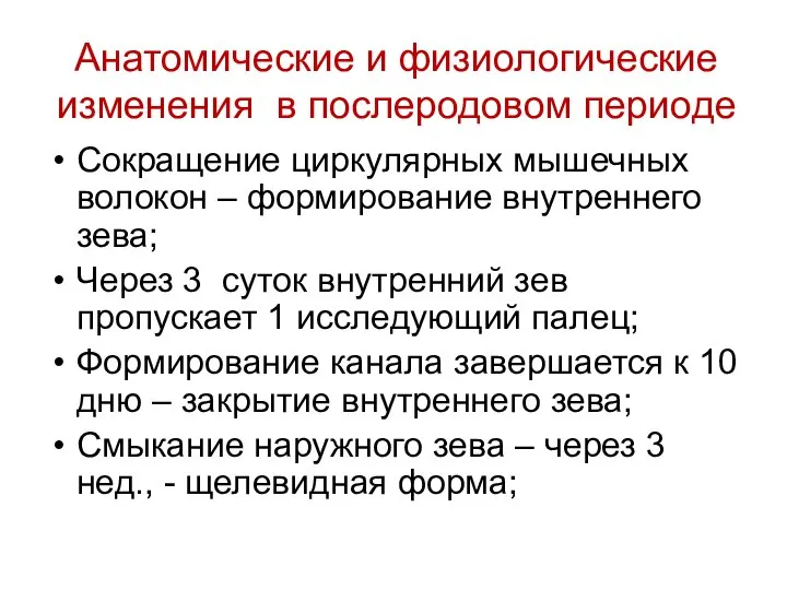 Сокращение циркулярных мышечных волокон – формирование внутреннего зева; Через 3 суток