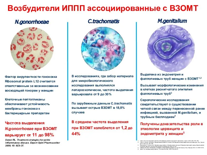 N.gonorrhoeae C.trachomatis M.genitalium Фактор вирулентности гонококка Ribosomal protein L12 считается ответственным