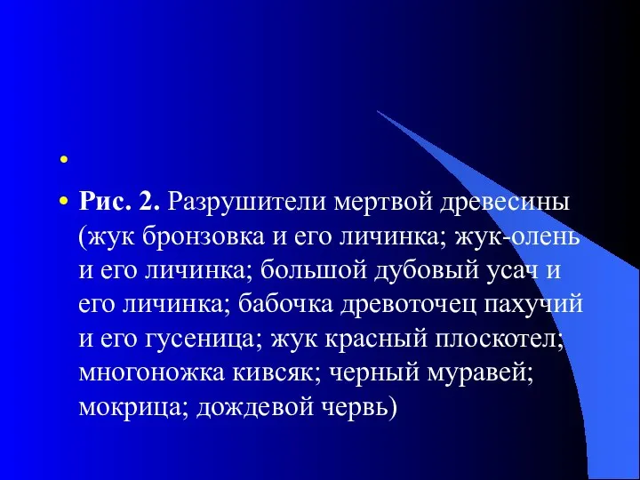 Рис. 2. Разрушители мертвой древесины (жук бронзовка и его личинка; жук-олень