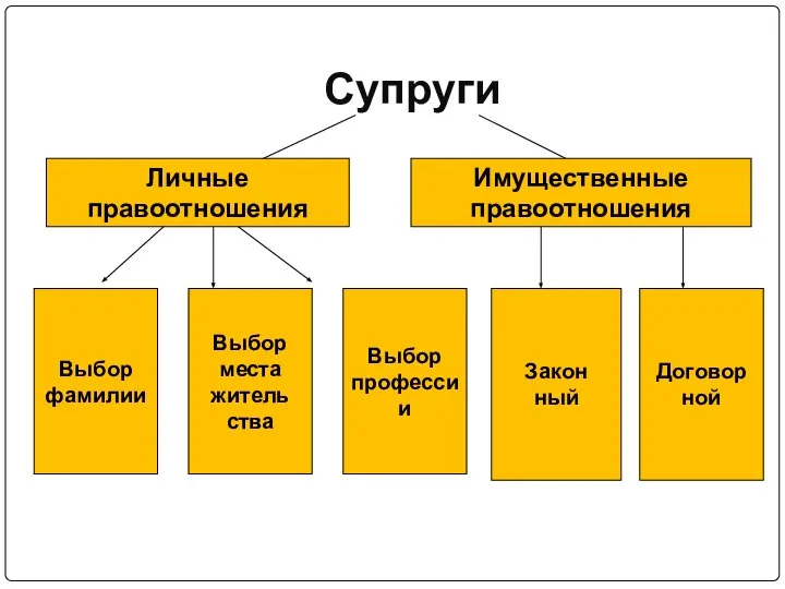 Супруги Личные правоотношения Имущественные правоотношения Выбор фамилии Выбор места житель ства