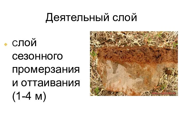 Деятельный слой Слой сезонного промерзания и оттаивания (1-4 м)‏