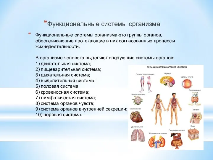 Функциональные системы организма-это группы органов, обеспечивающие протекающие в них согласованные процессы