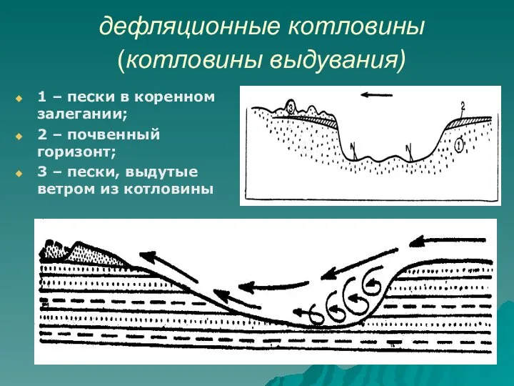 дефляционные котловины (котловины выдувания) 1 – пески в коренном залегании; 2