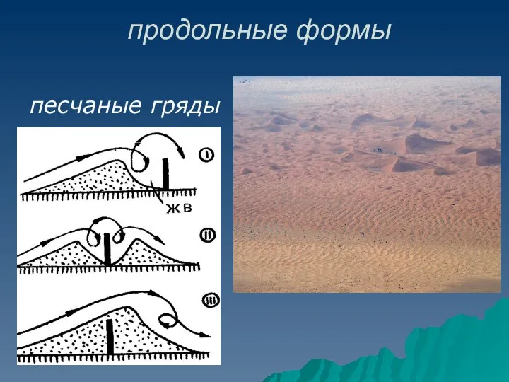 продольные формы песчаные гряды