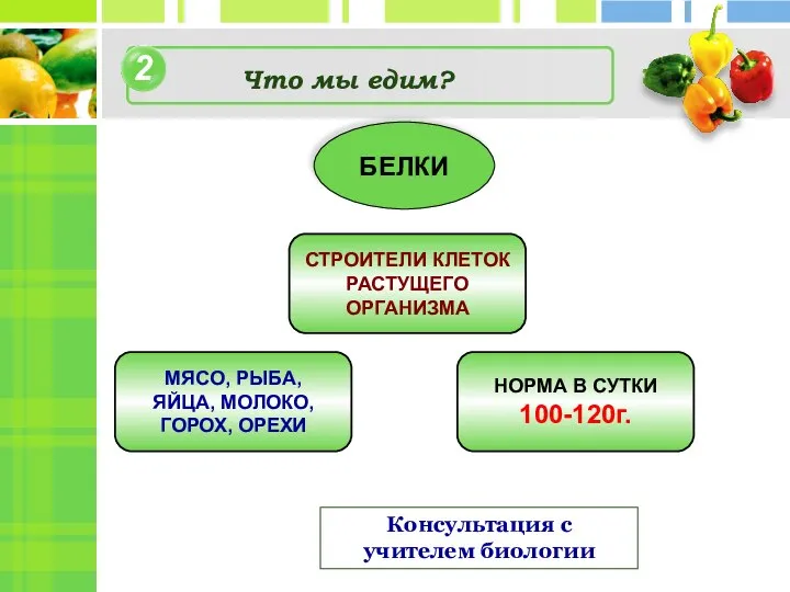 2 4 Что мы едим? Консультация с учителем биологии БЕЛКИ СТРОИТЕЛИ