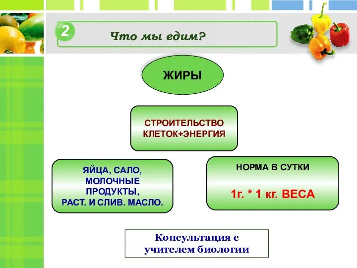 2 4 Что мы едим? Консультация с учителем биологии ЖИРЫ СТРОИТЕЛЬСТВО